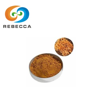 Cordyceps Mushroom Extract Powder